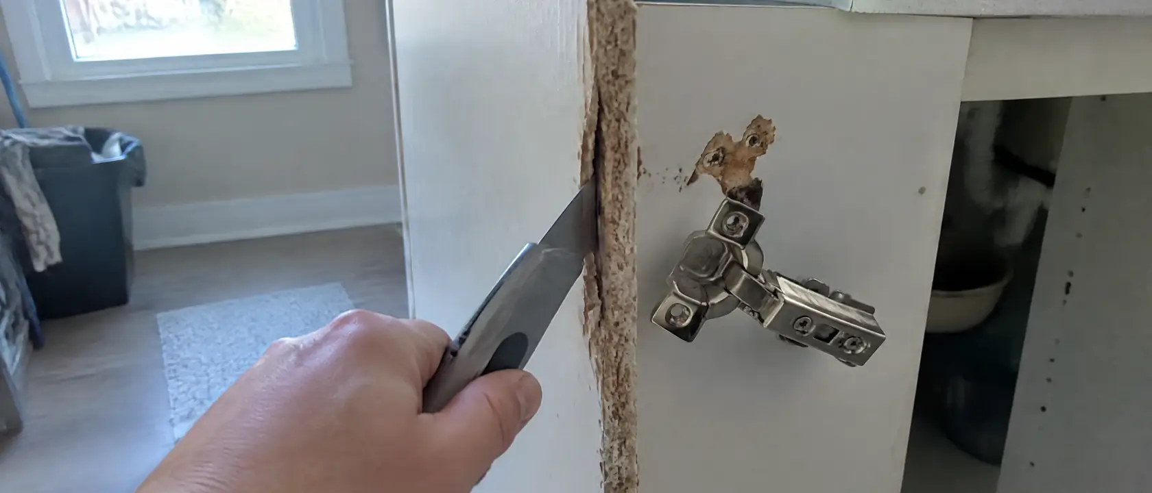 Swollen particleboard sink base with a hinge plate pulled loose from crumbled screw holes, a knife sinking into the edge